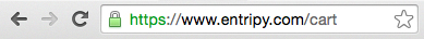 URL address bar showing the padlock symbol, indicating the site is secure to input personal information.